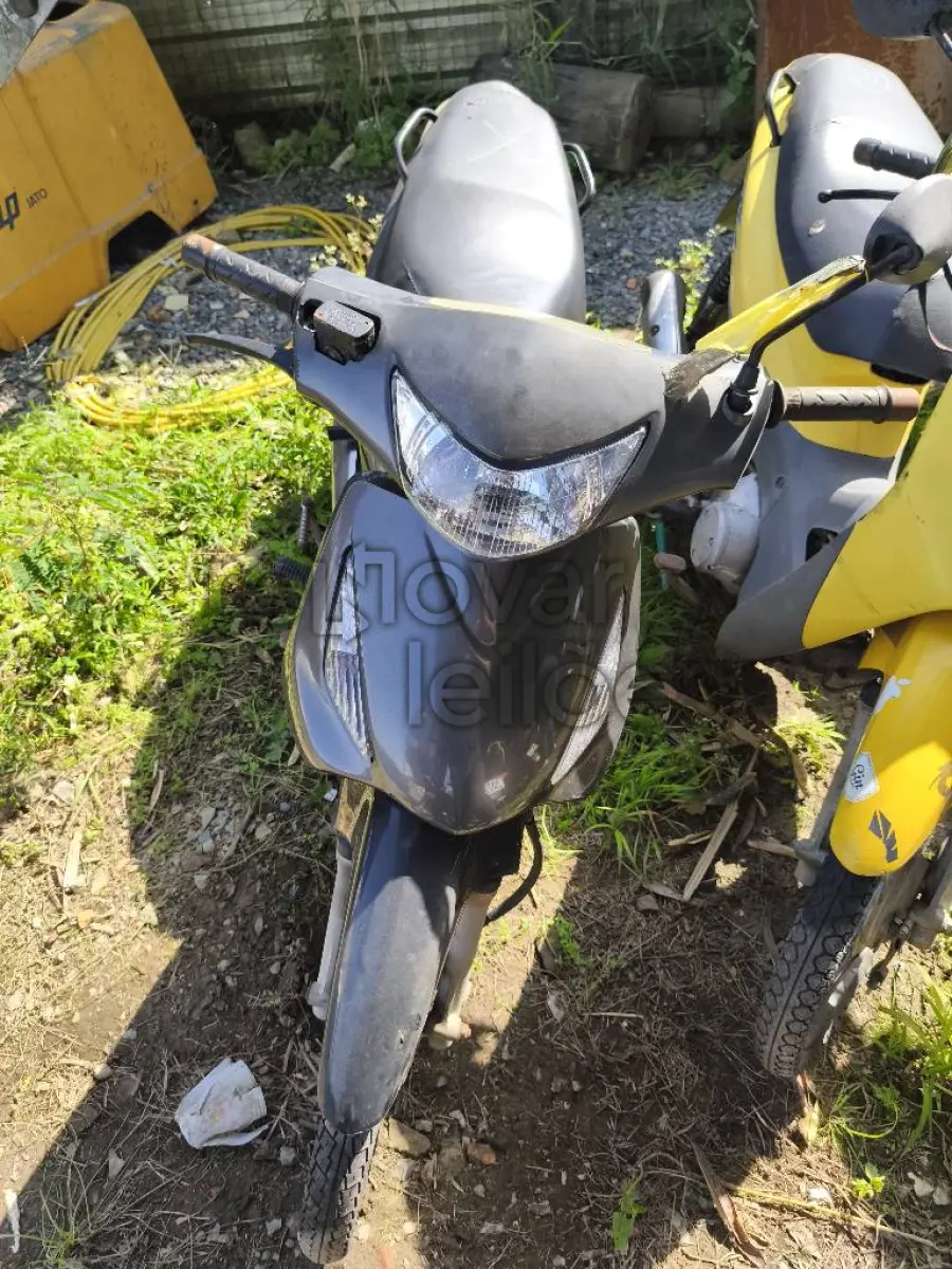 LOTE 0457