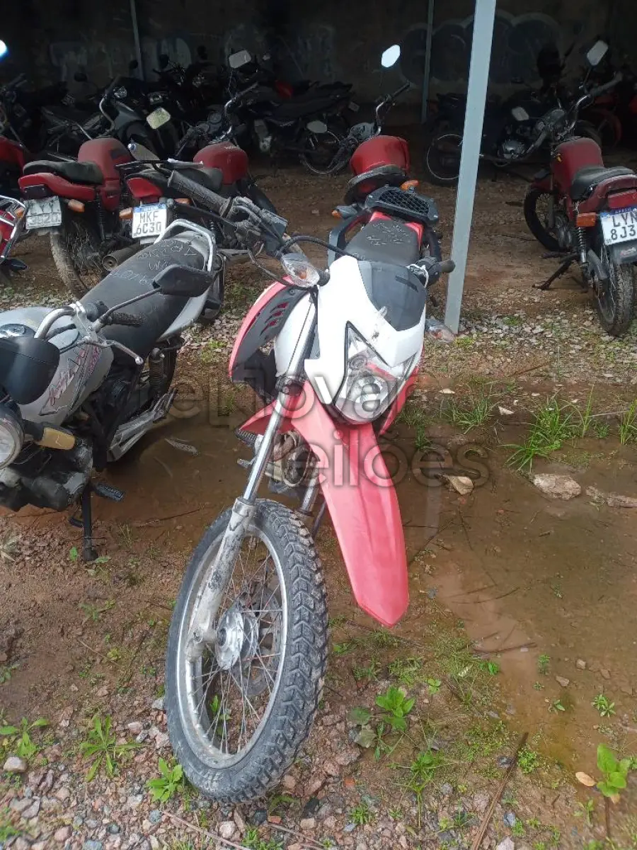 LOTE 0519