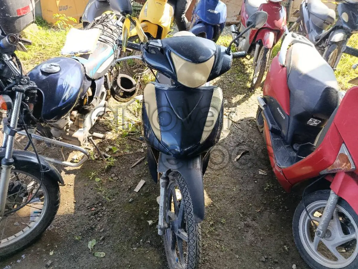 LOTE 0456