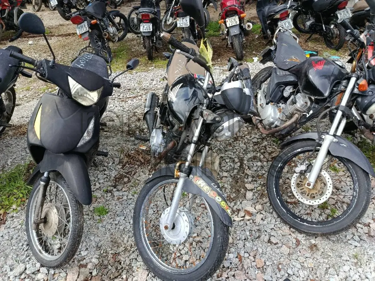 LOTE 0378