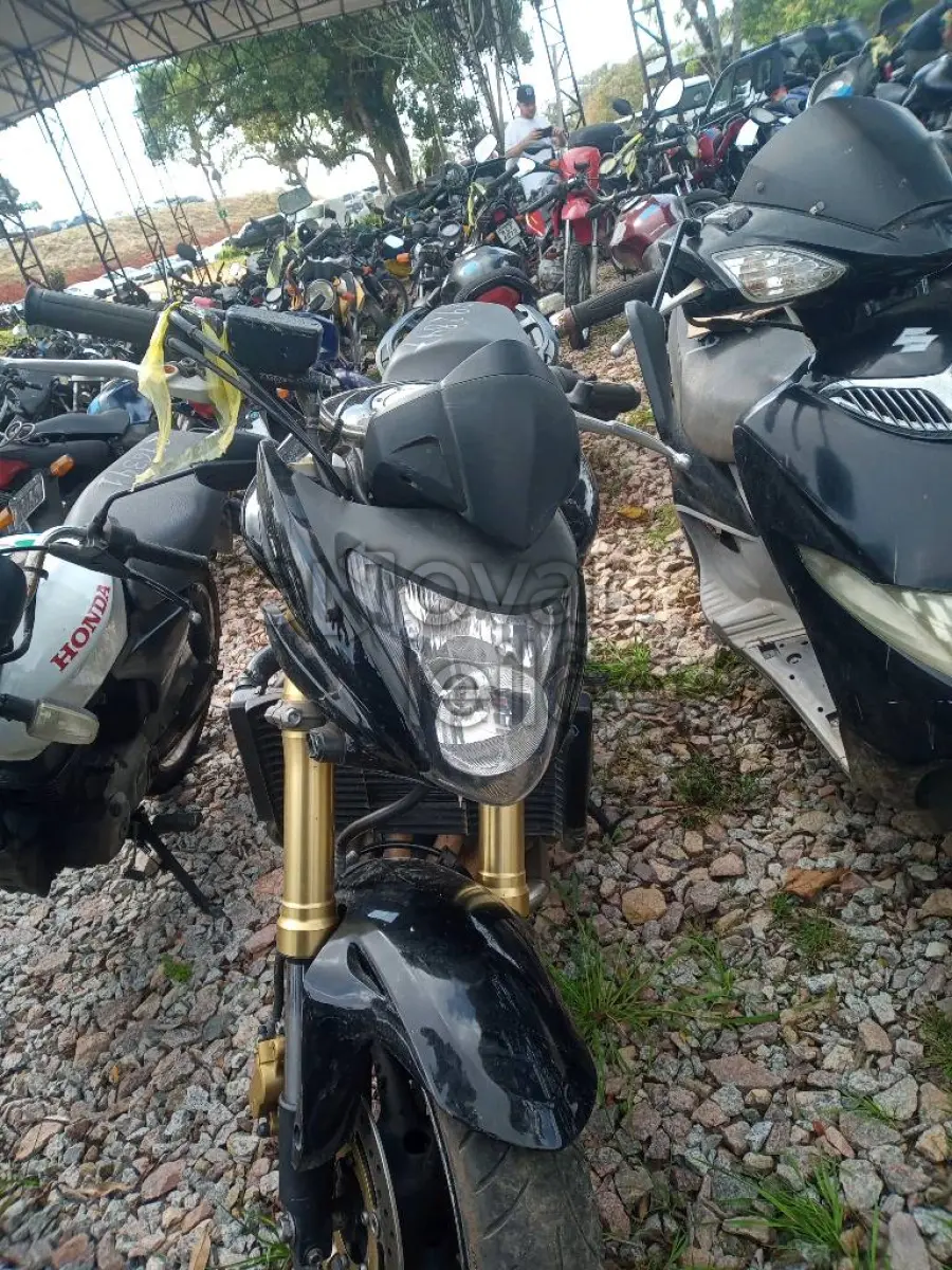 LOTE 0404