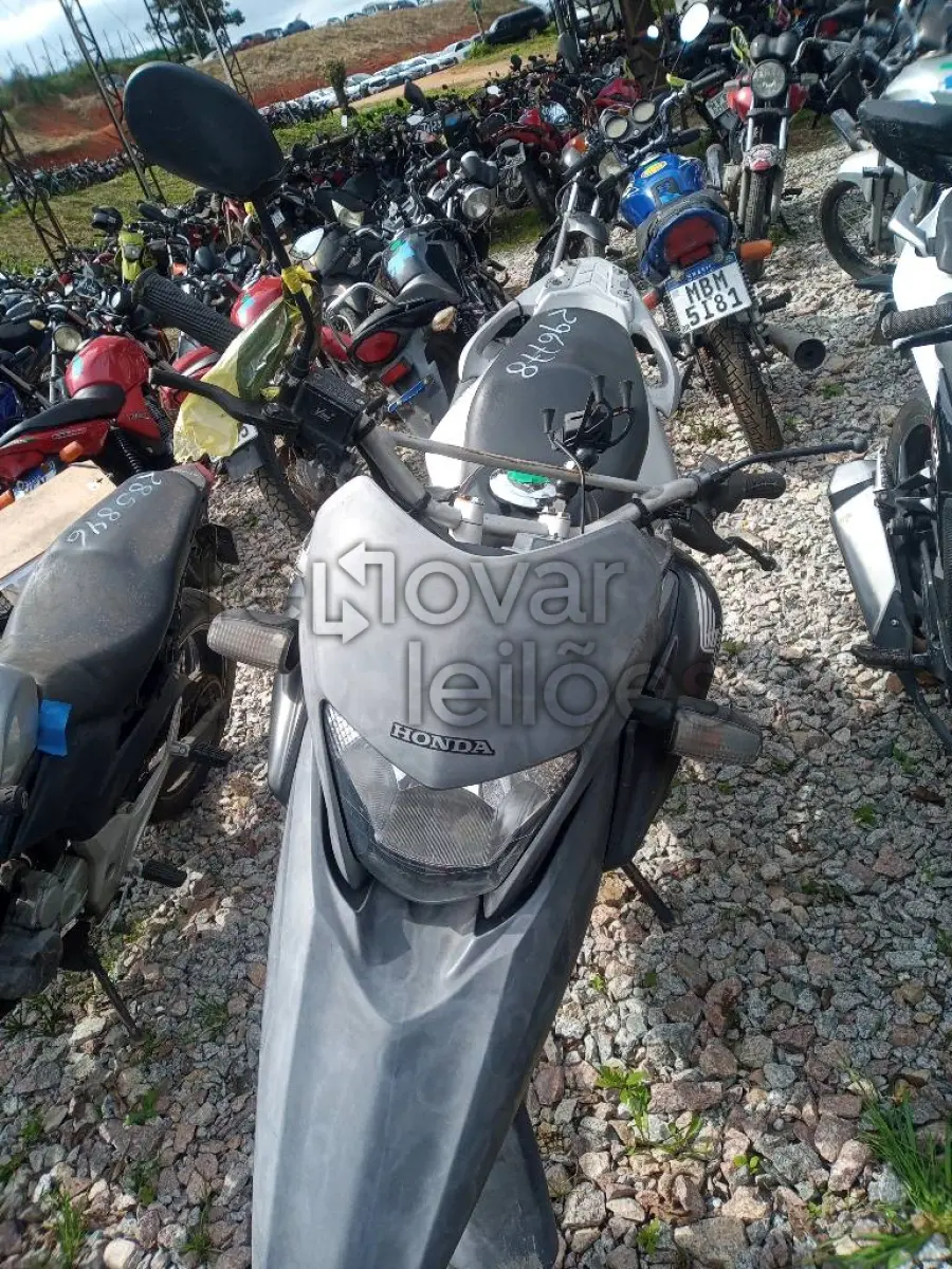 LOTE 0373