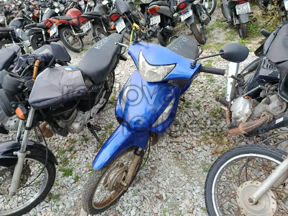 LOTE 0423