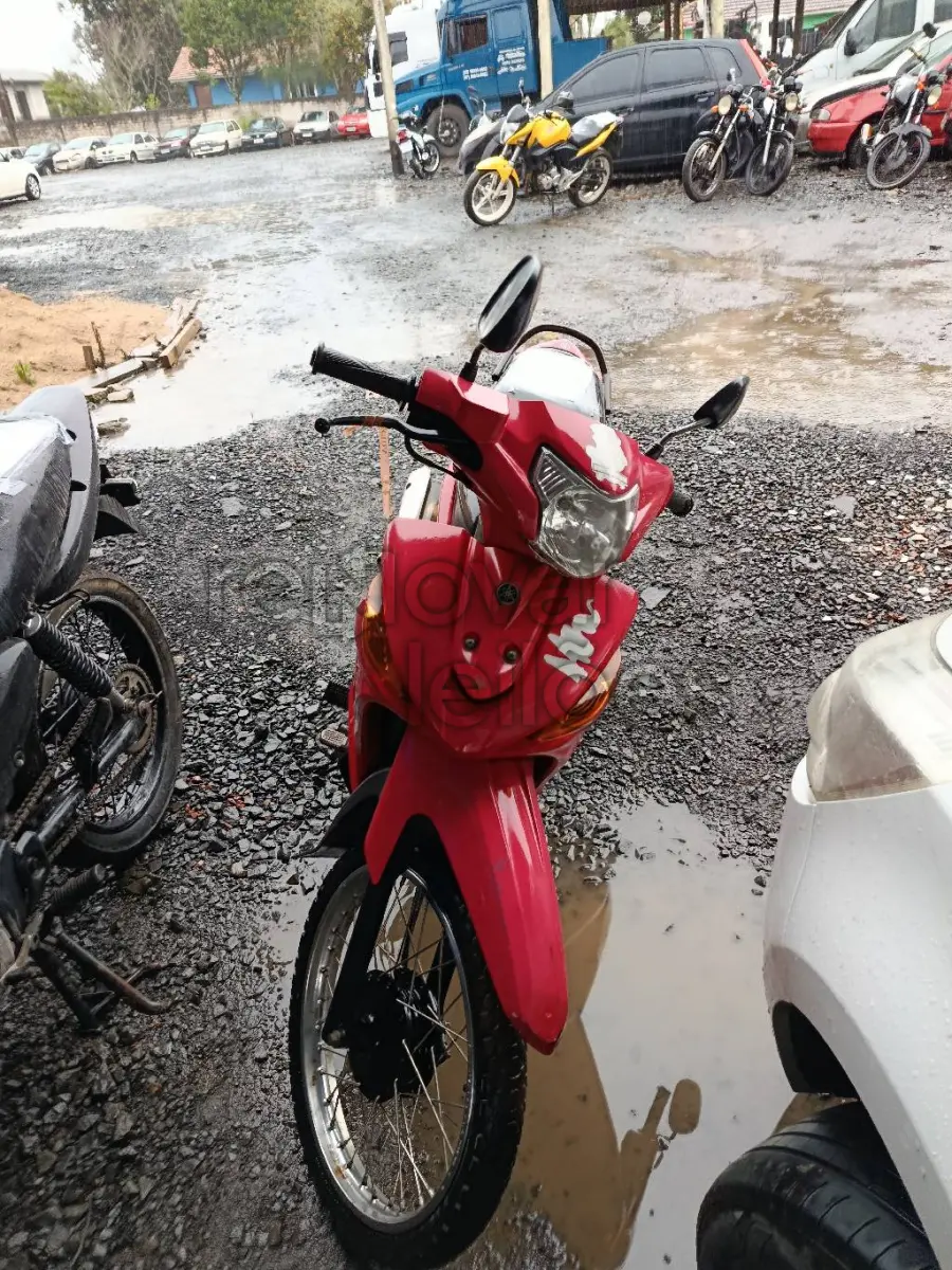 LOTE 0595