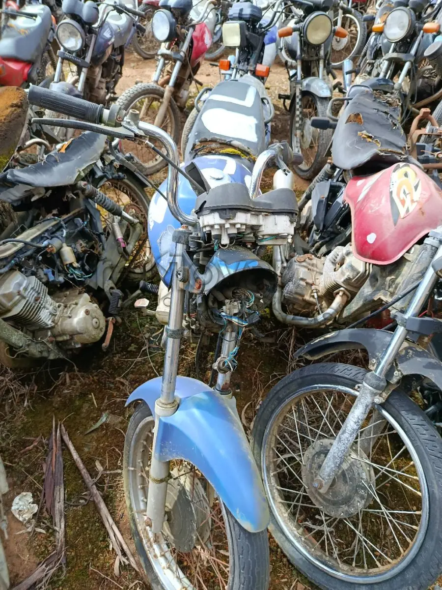 LOTE 0553