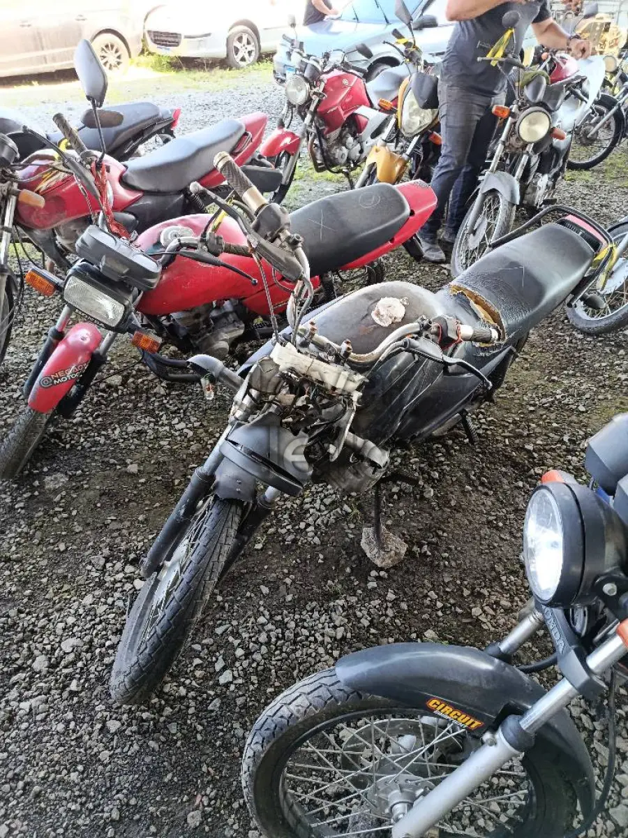 LOTE 0451