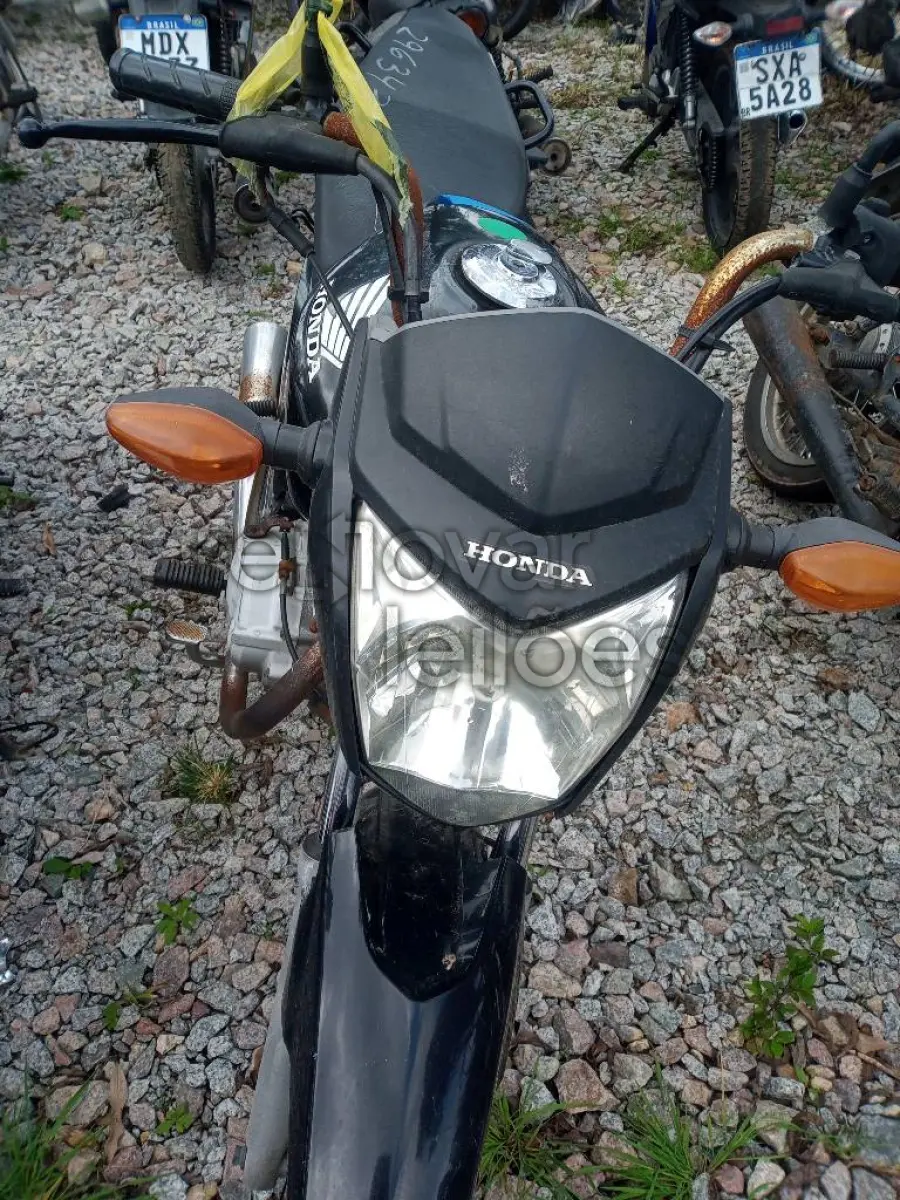 LOTE 0407