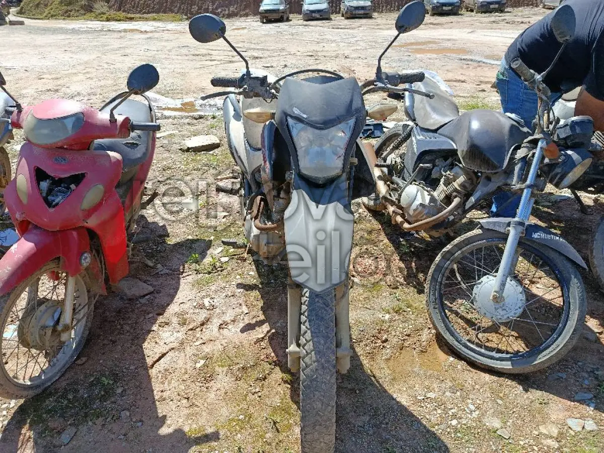 LOTE 0576