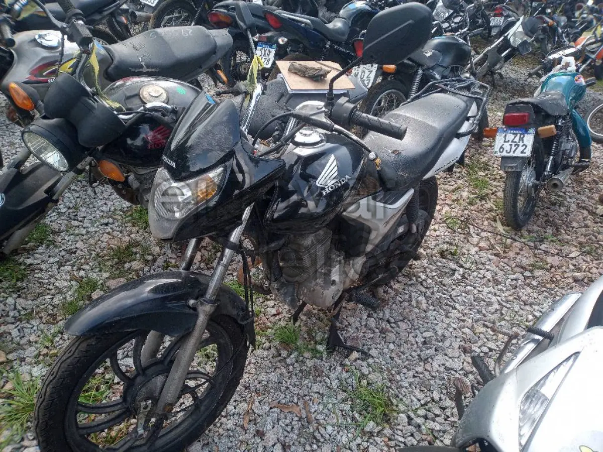 LOTE 0369