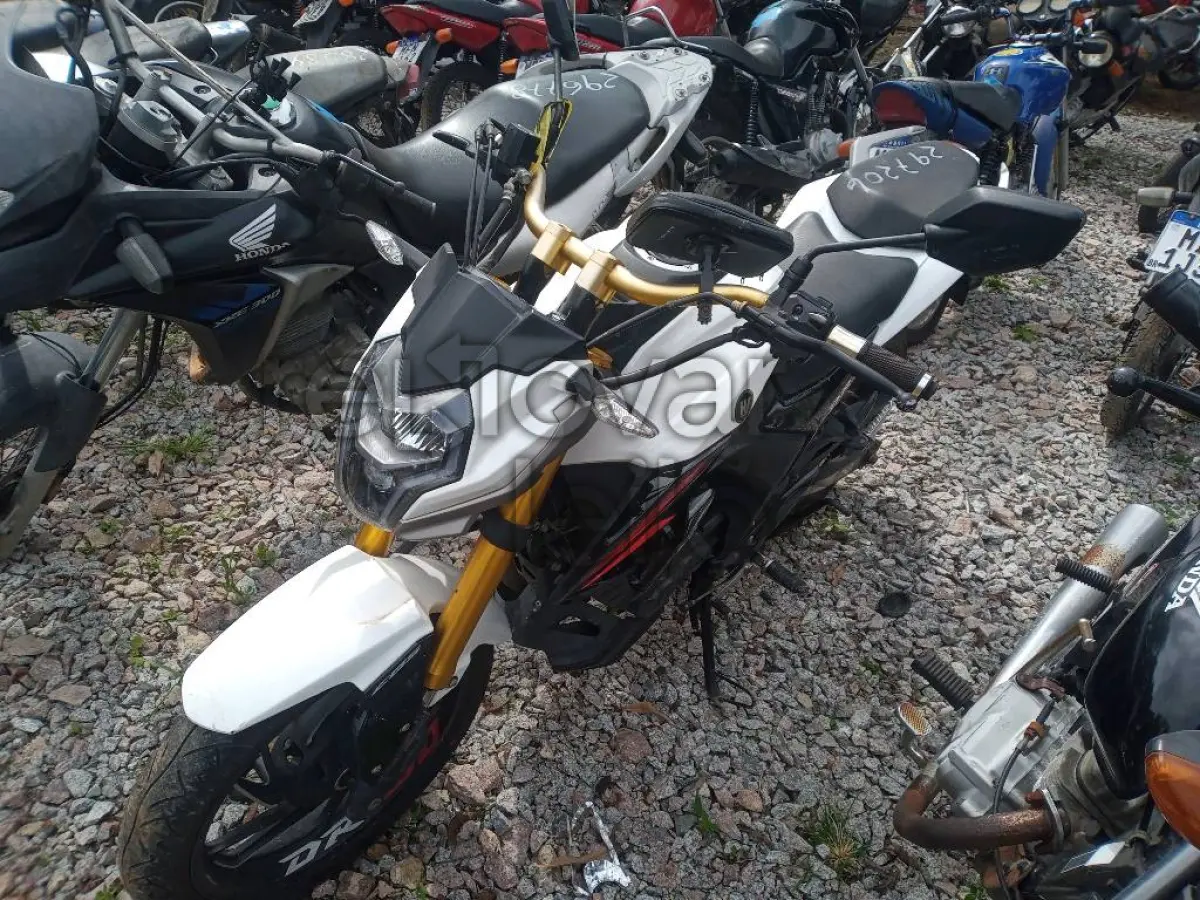 LOTE 0379
