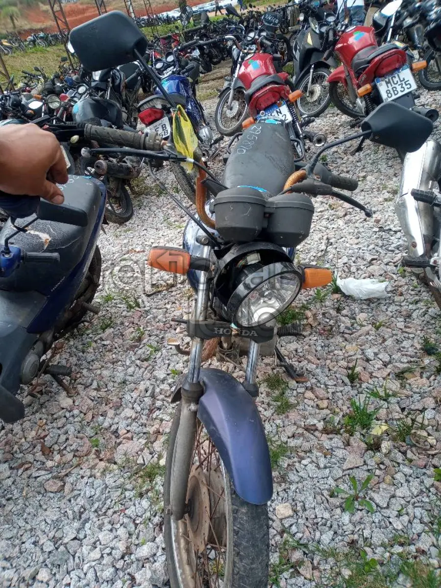 LOTE 0391