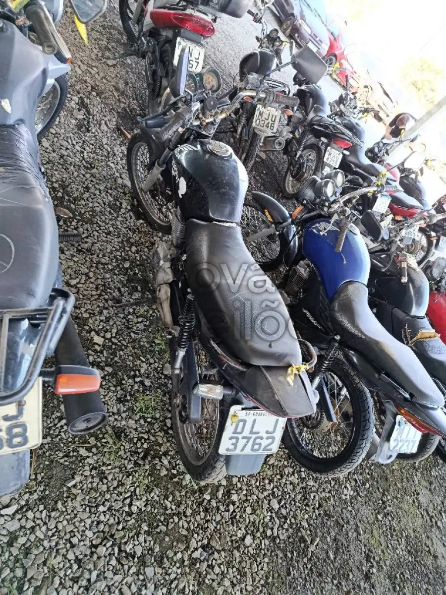 LOTE 0447