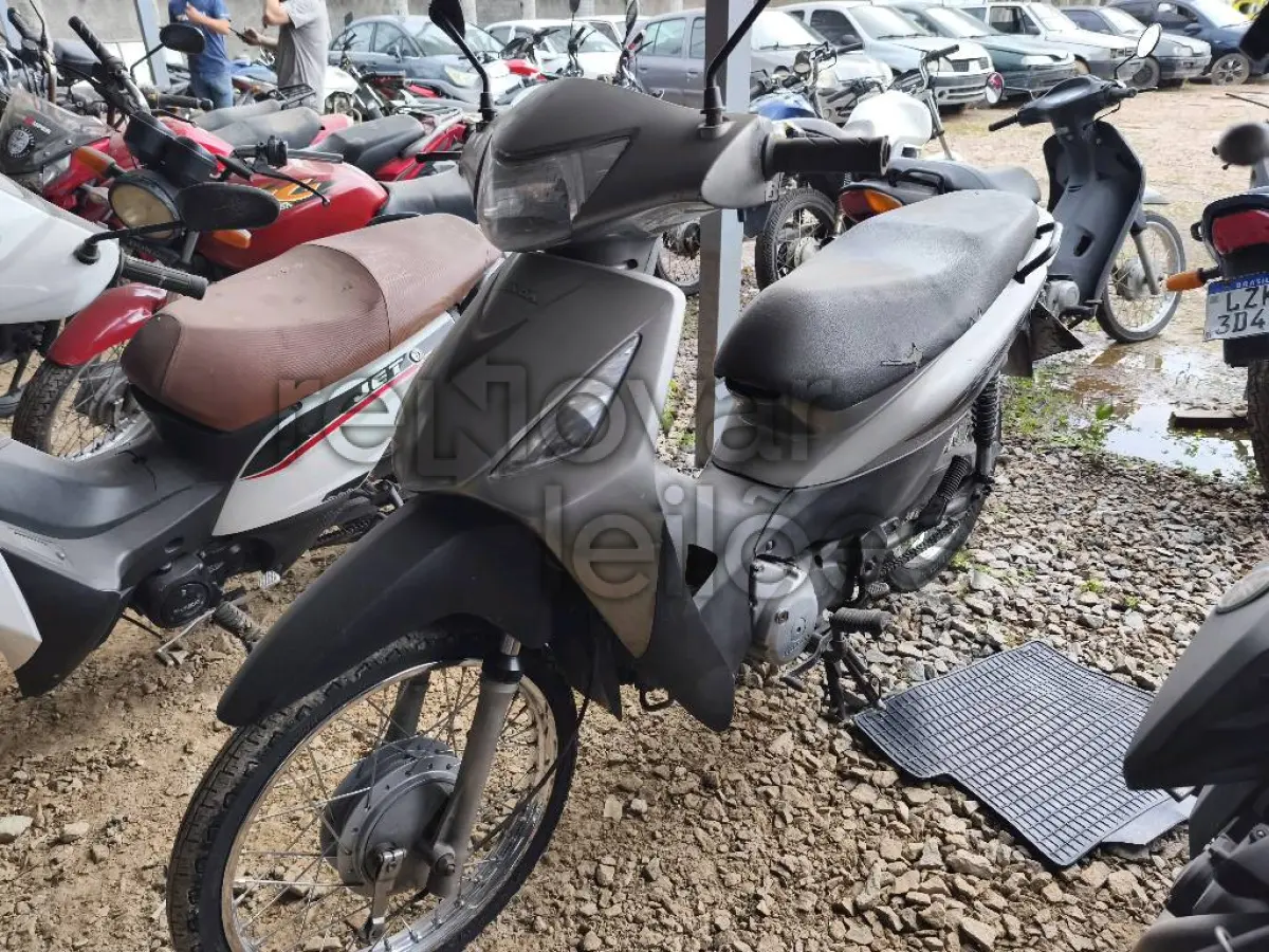 LOTE 0537