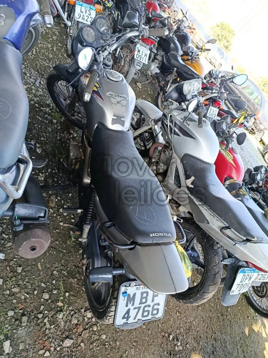 LOTE 0445