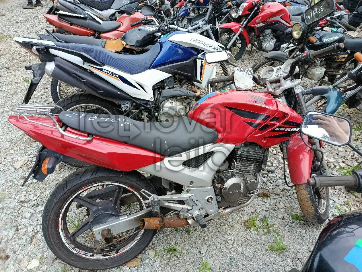 LOTE 0405