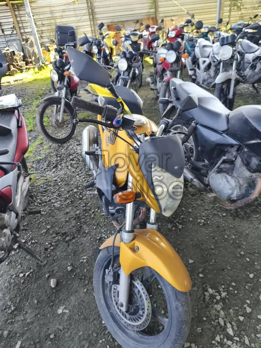 LOTE 0450
