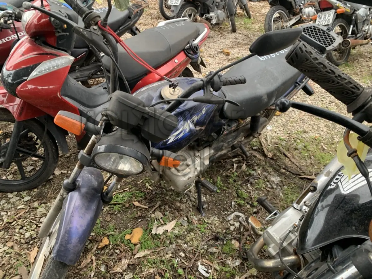 LOTE 0376