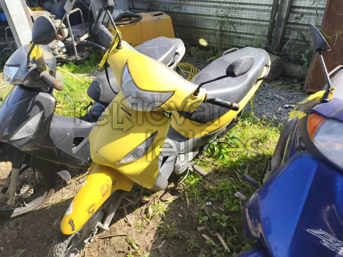 LOTE 0455