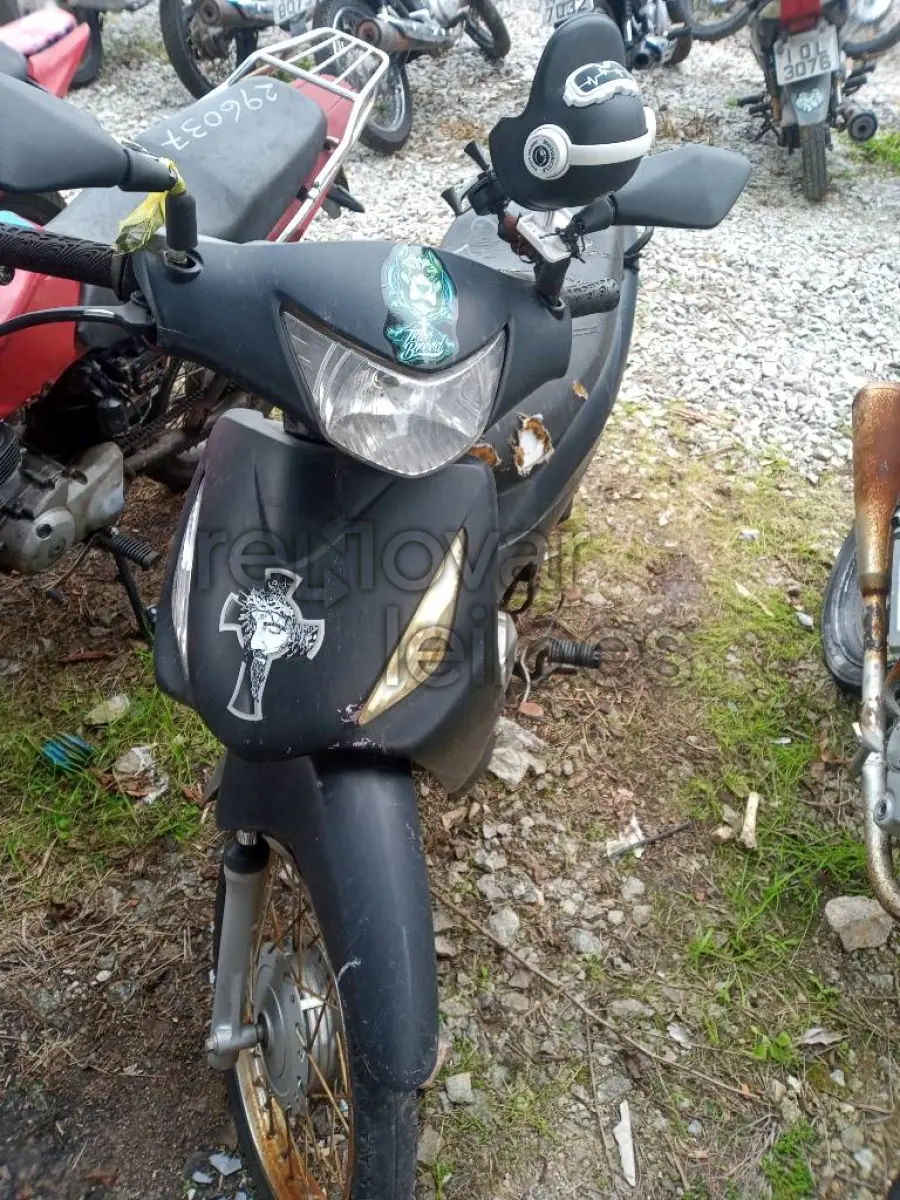 LOTE 0425