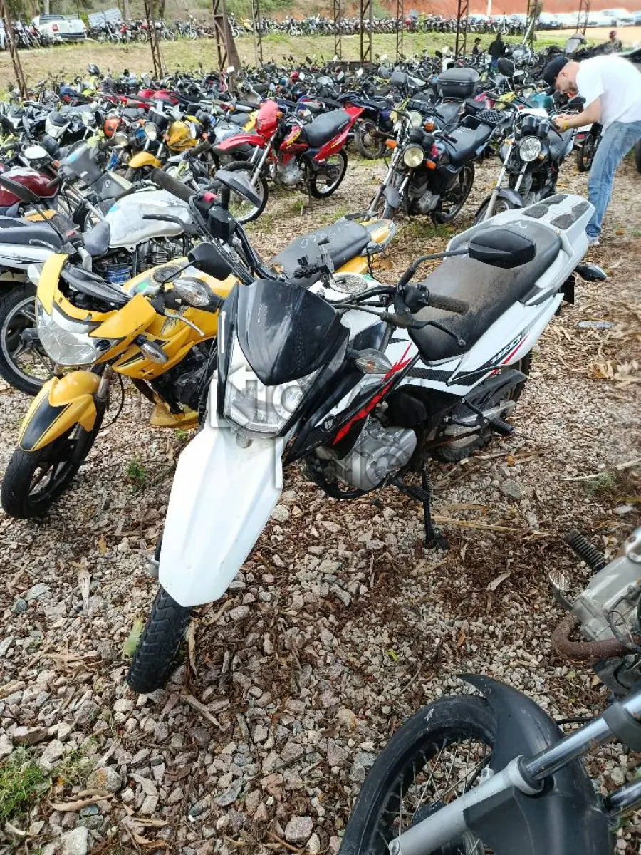 LOTE 0387