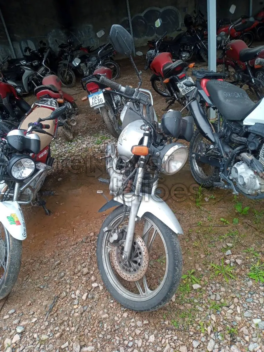 LOTE 0509