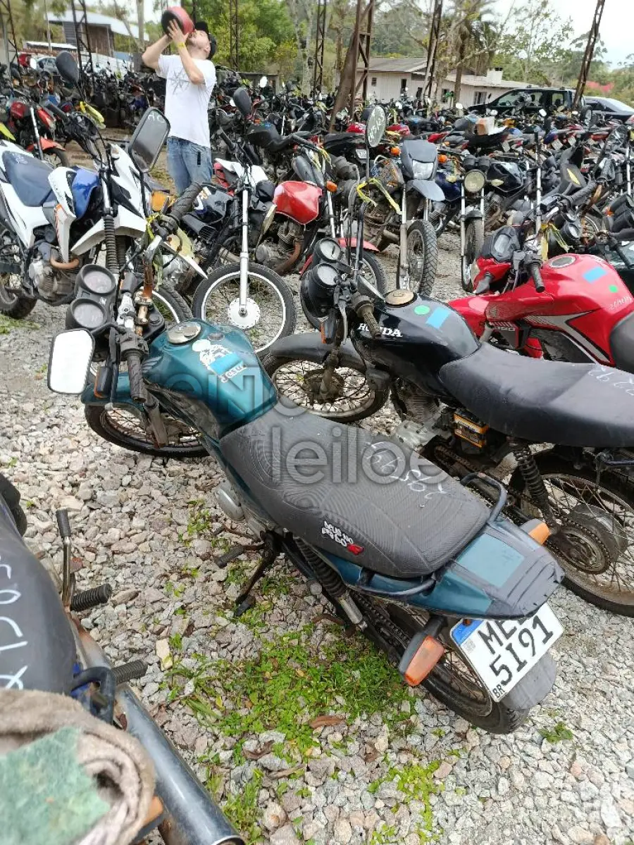 LOTE 0883