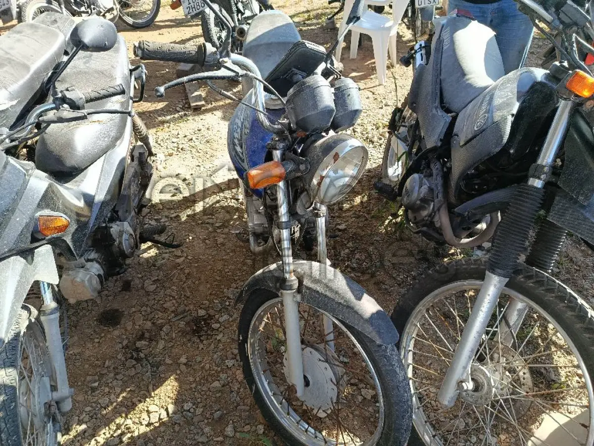 LOTE 0919