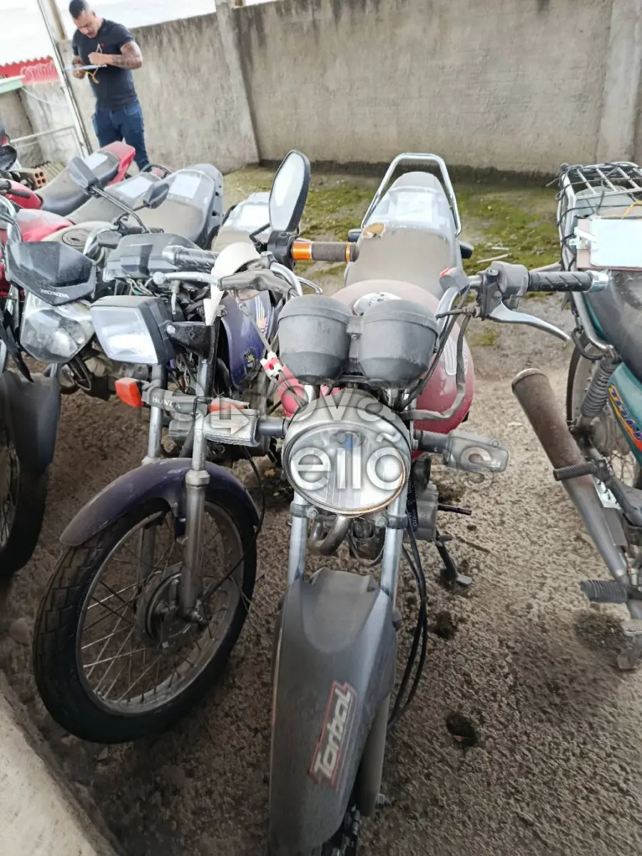 LOTE 0908