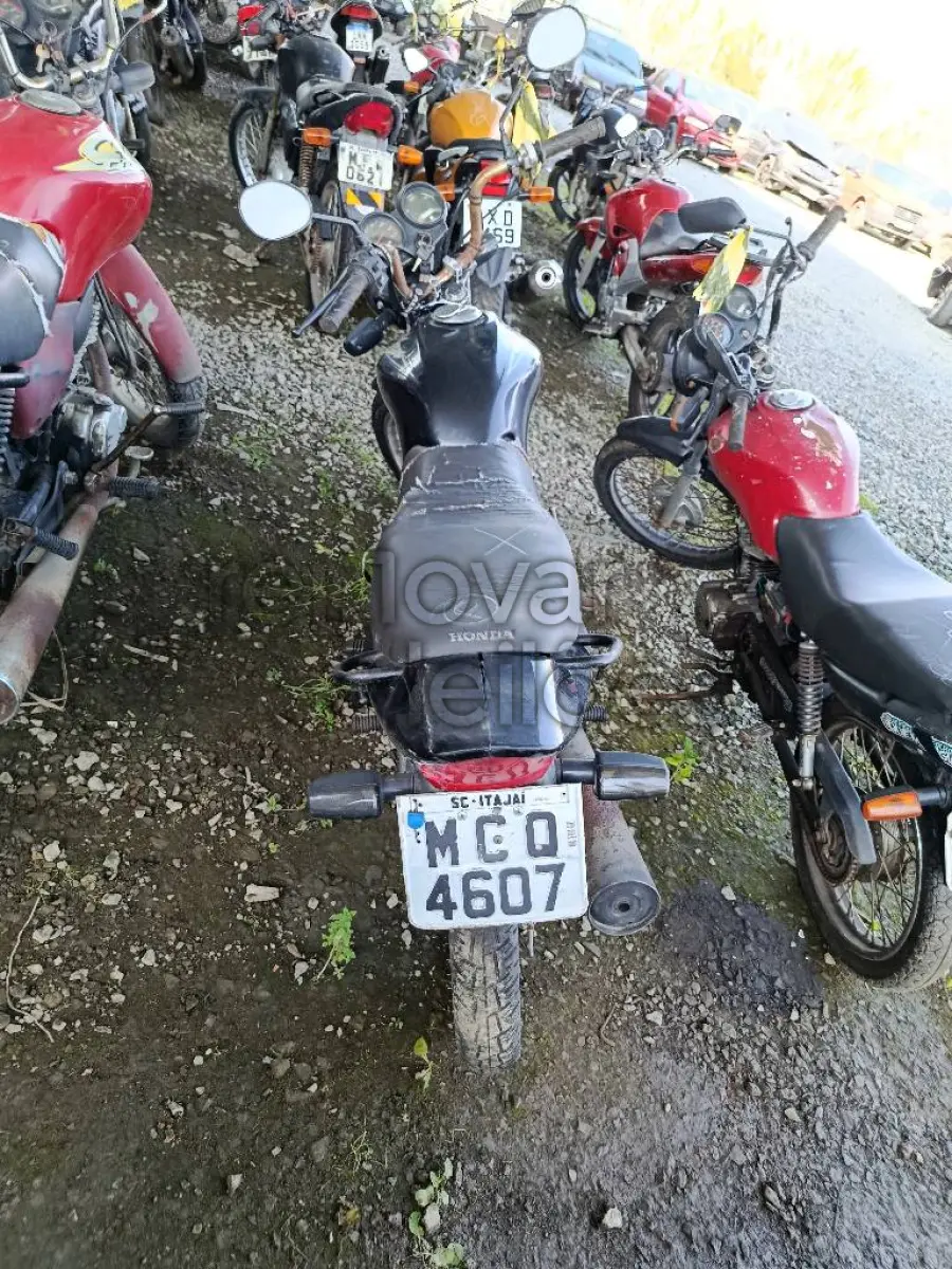 LOTE 0891