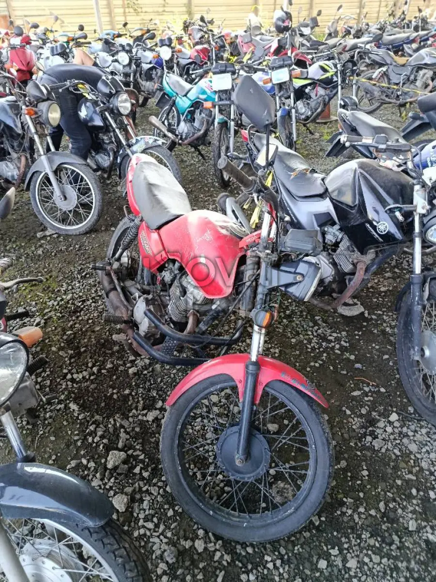 LOTE 0892