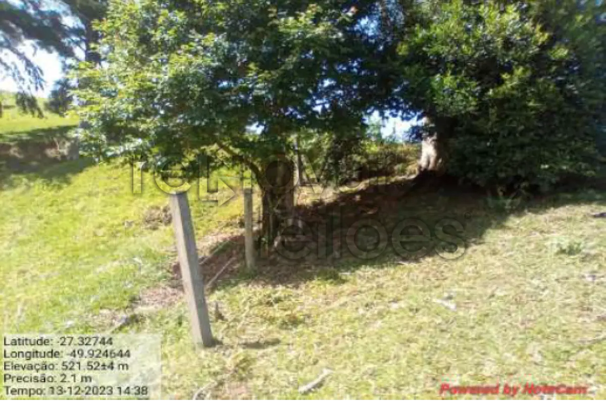 LOTE 001