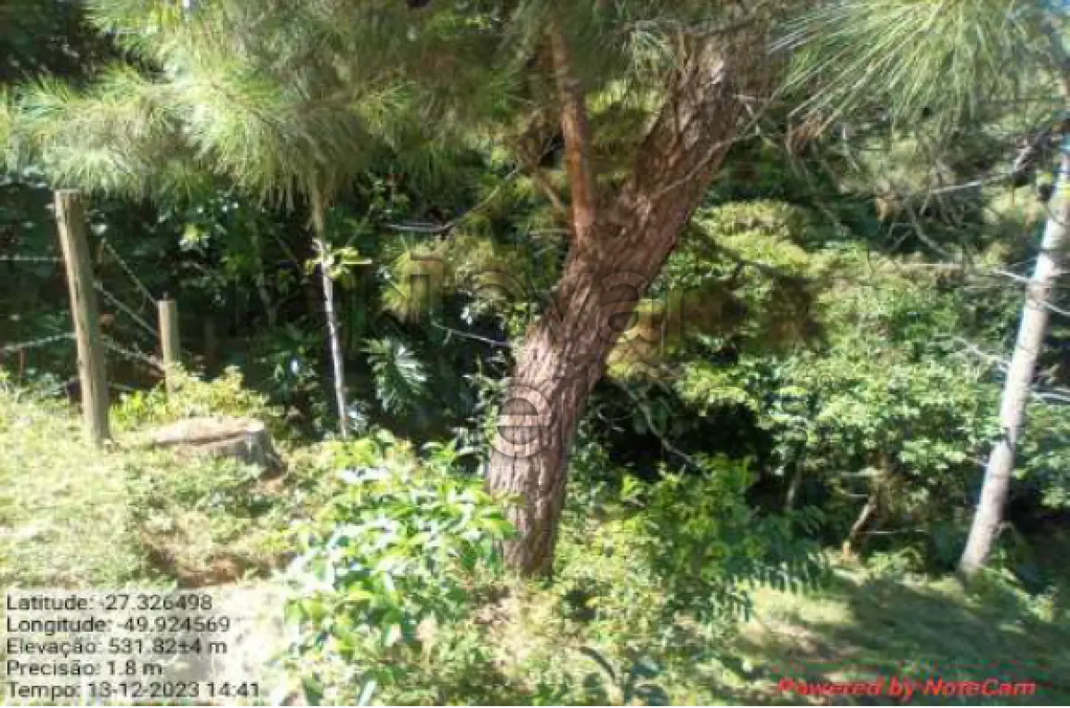 LOTE 001 - ÁREA RURAL DE 12,500 HA / BRAÇO DO TROMBUDO - SC