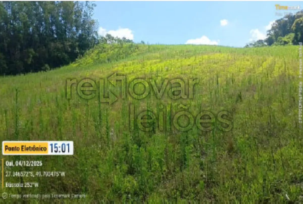 LOTE 001