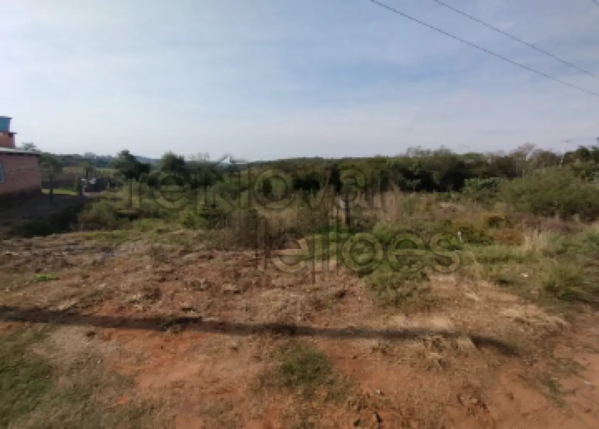 LOTE 001