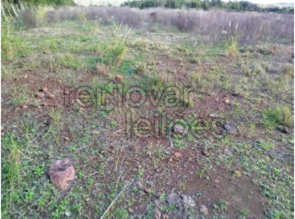 LOTE 001