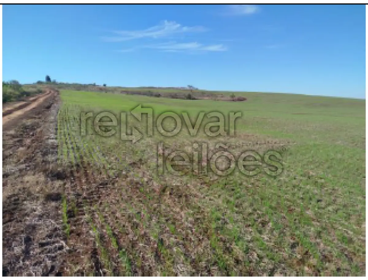 LOTE 001 - ÁREA RURAL C / 5 HECTARES - PIRAPÓ / RS