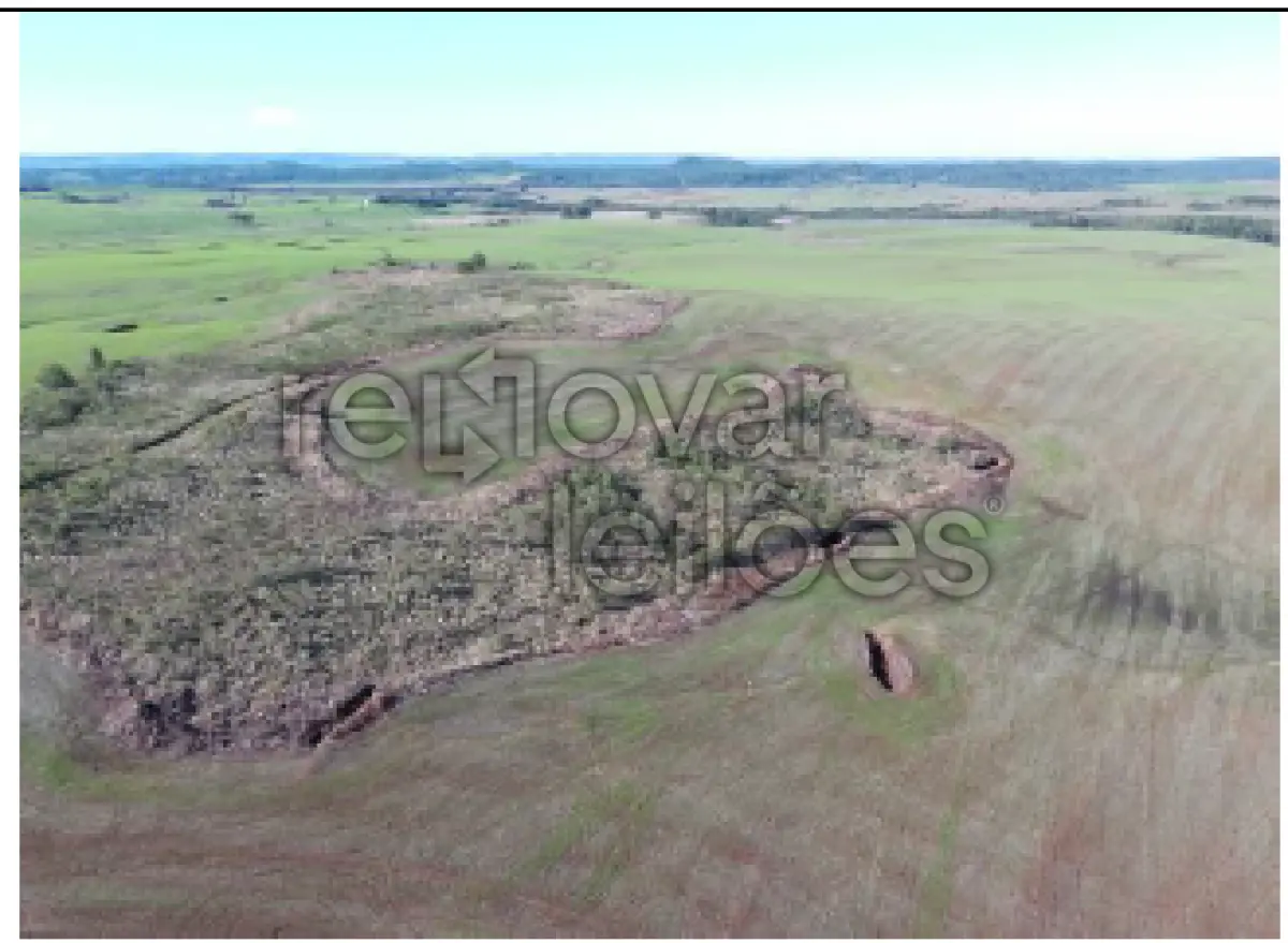 LOTE 001 - ÁREA RURAL C / 5 HECTARES - PIRAPÓ / RS