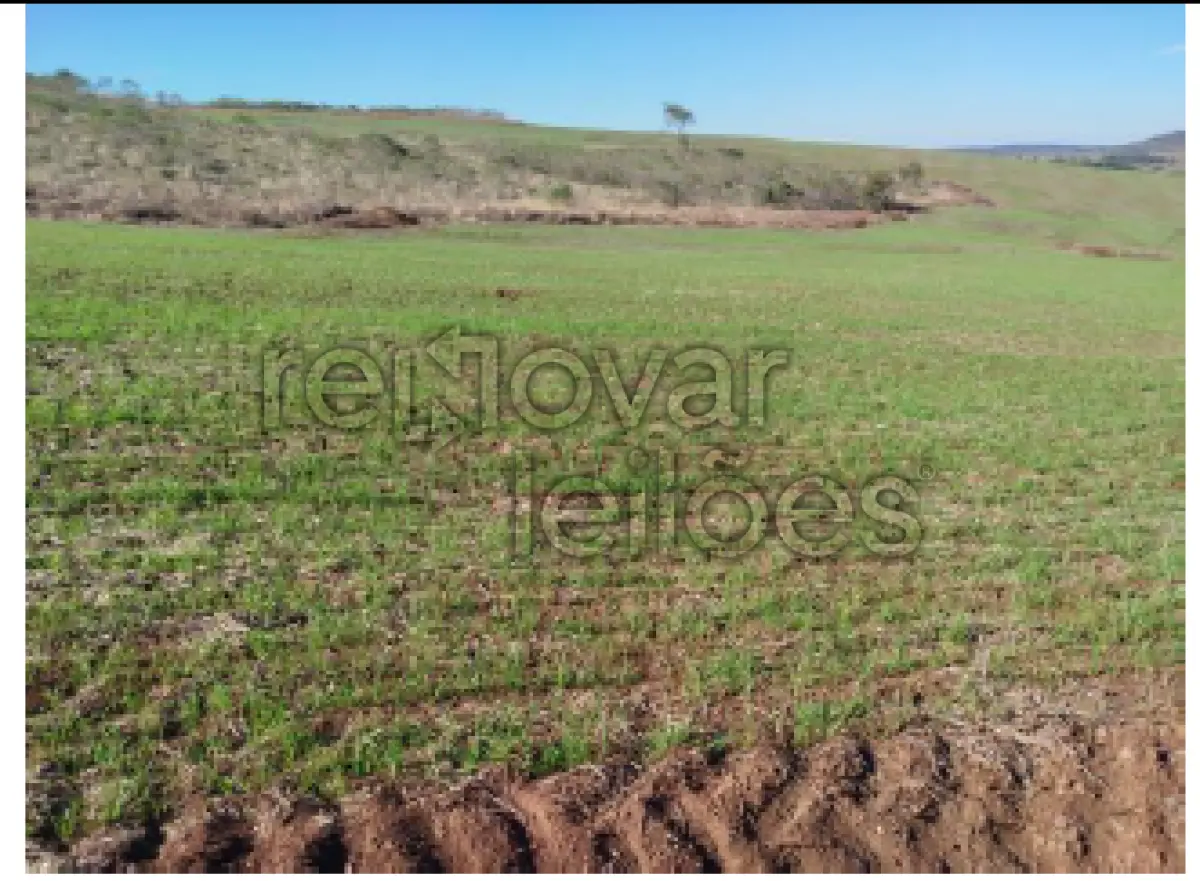 LOTE 001 - ÁREA RURAL C / 5 HECTARES - PIRAPÓ / RS