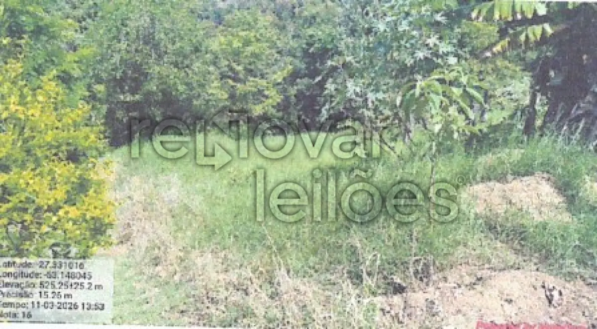 Imagem 6