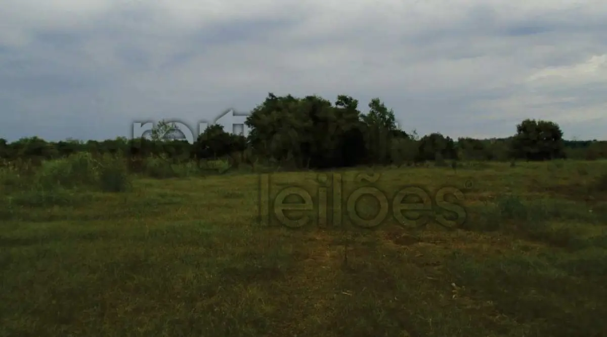 ÁREA RURAL C/ 69.000,00 M² - ALECRIM / RS