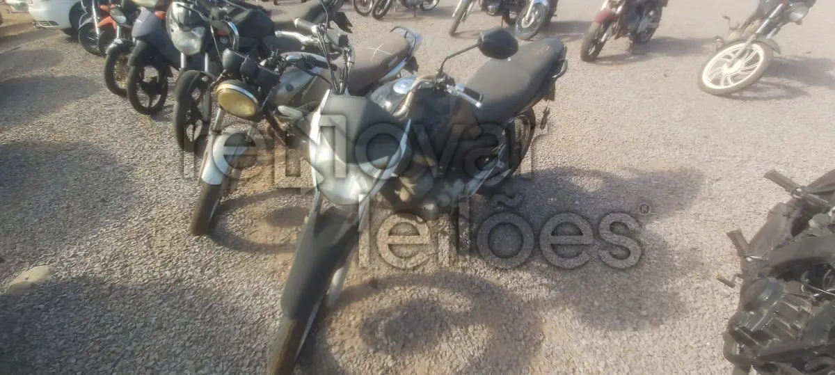 LOTE 0134