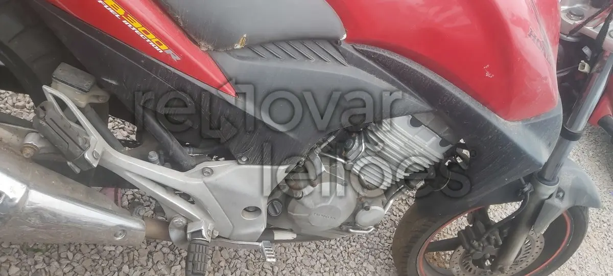 LOTE 0138