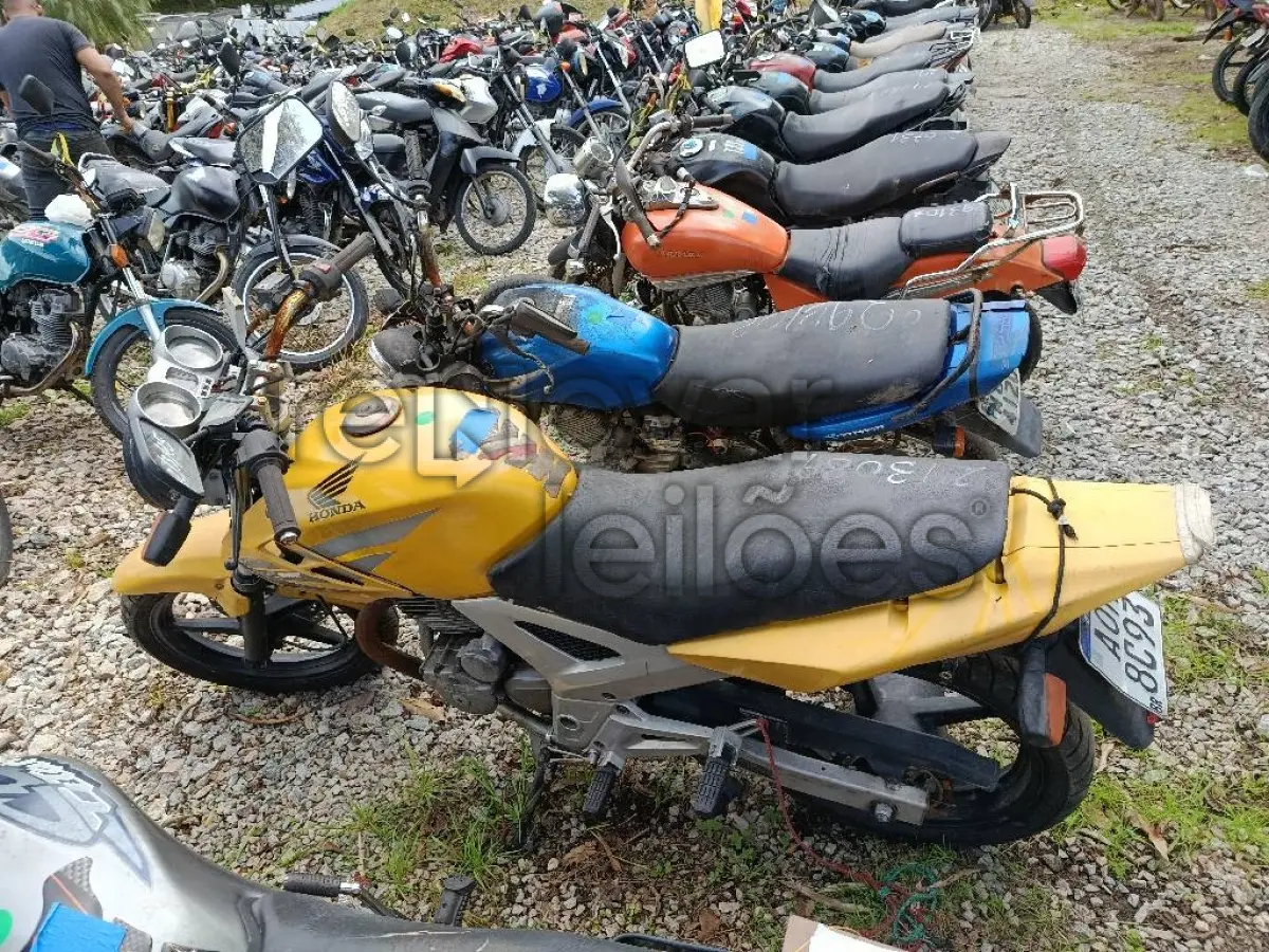 LOTE 0332