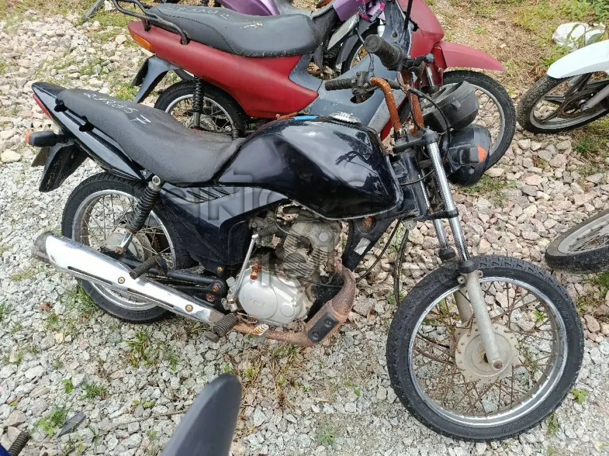 LOTE 0331