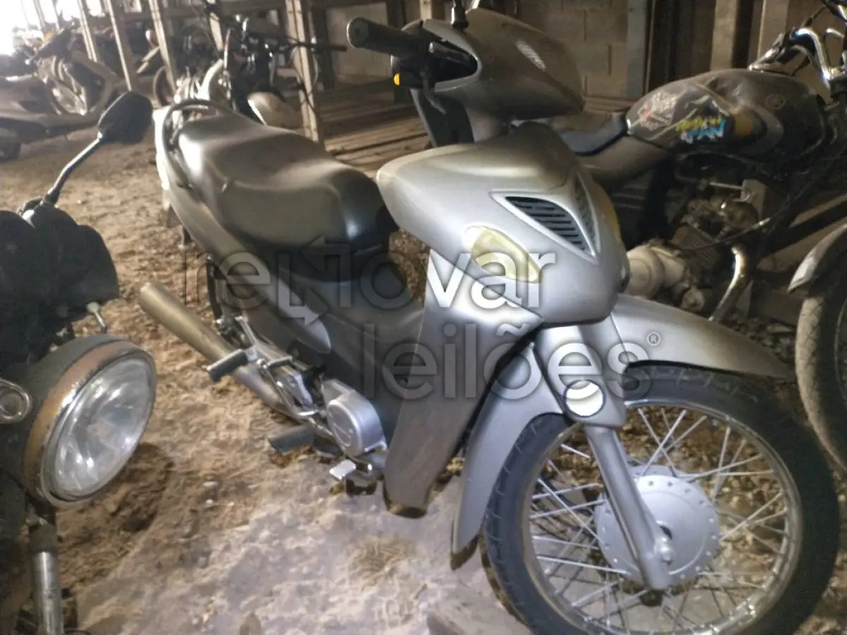 LOTE 0483