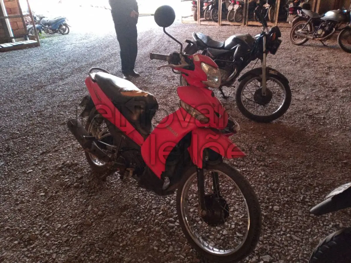 LOTE 0484