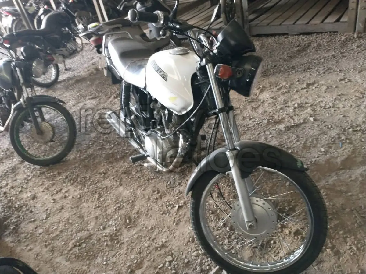 LOTE 0481