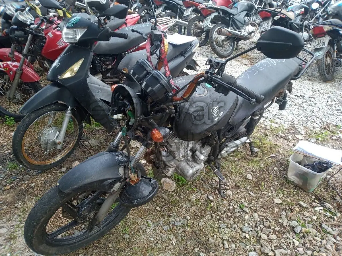 LOTE 0338
