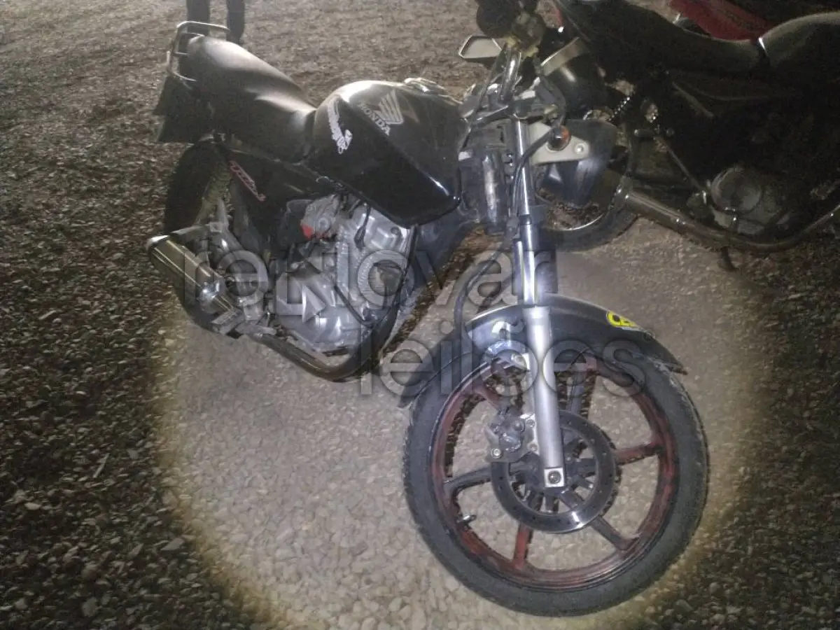 LOTE 0482