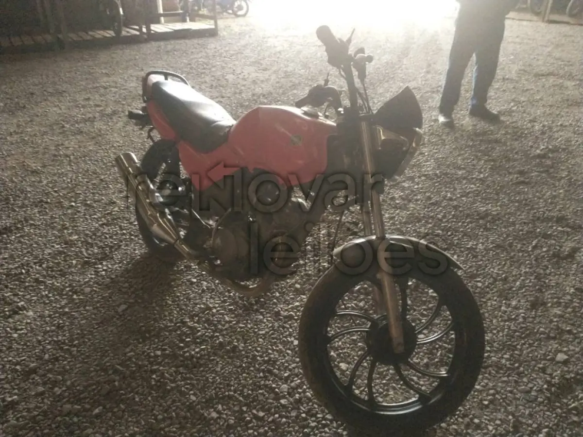 LOTE 0477